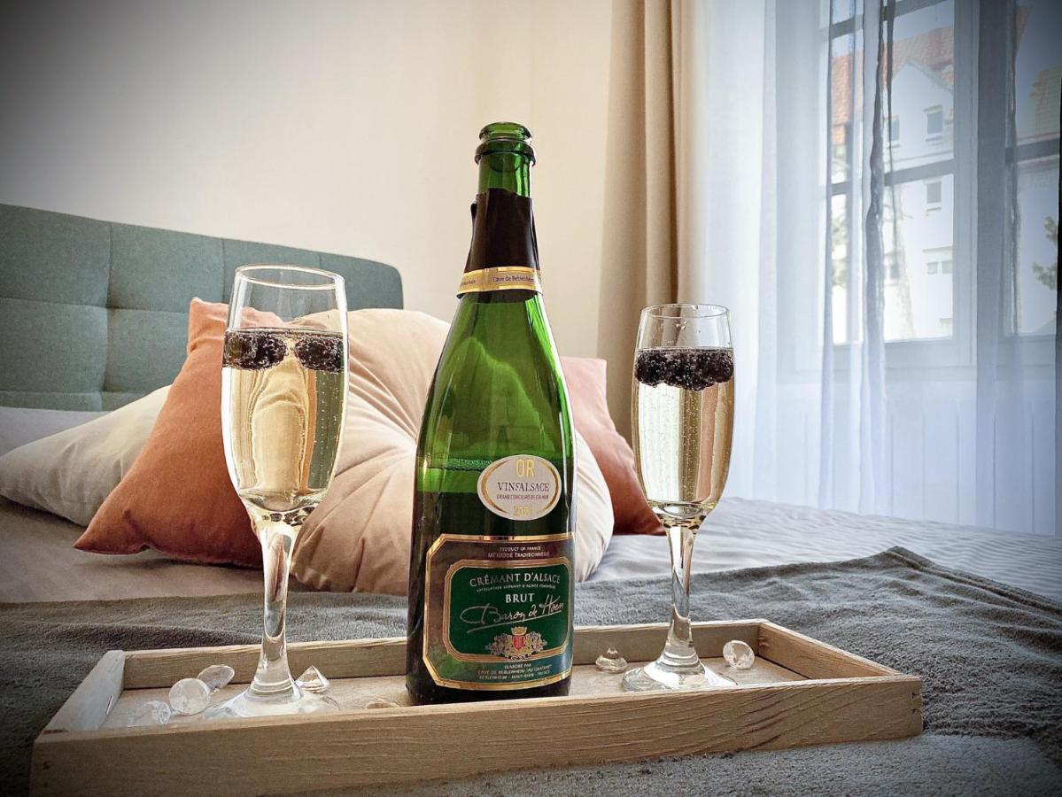 Le Convivial, Appartement Centre Ville Mulhouse Phòng bức ảnh